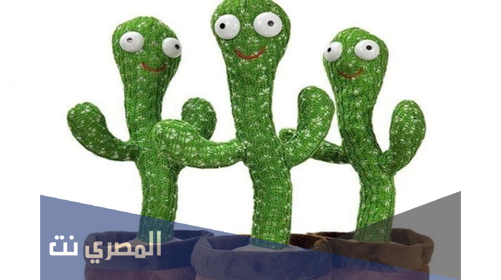 الصبارة الراقصة .. هل تصيب الأطفال بالاضطرابات النفسية والتوحد ؟