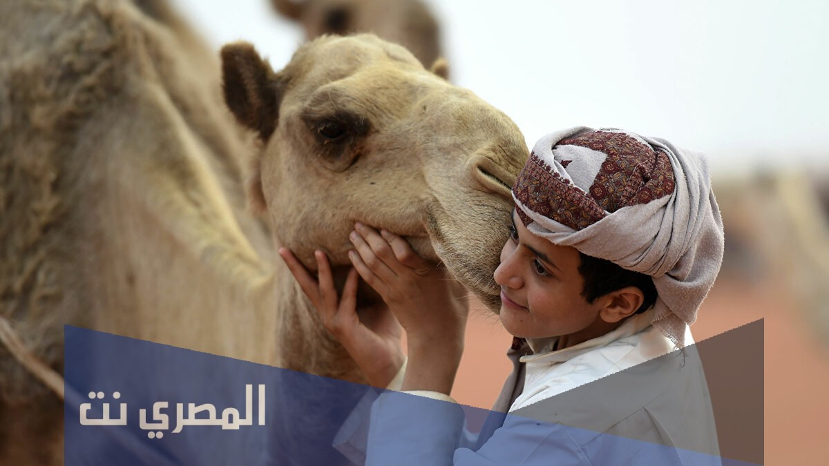 العجالين وش يرجعون