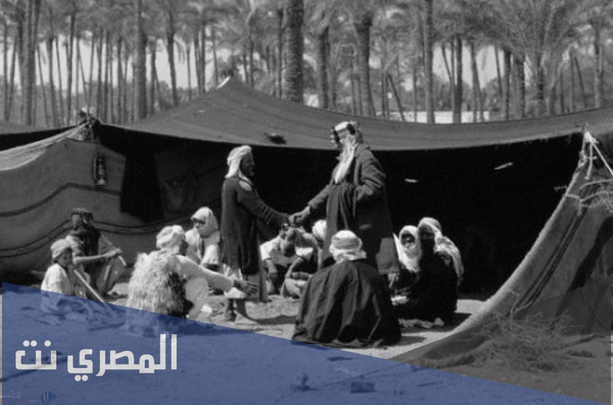 العذل وش يرجعون
