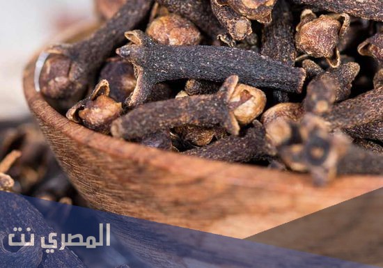 ما هو تفسير الاحلام والرؤي القرنفل في المنام