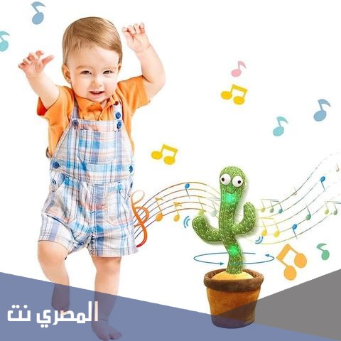 اماكن بيع الصبارة الراقصة في الامارات