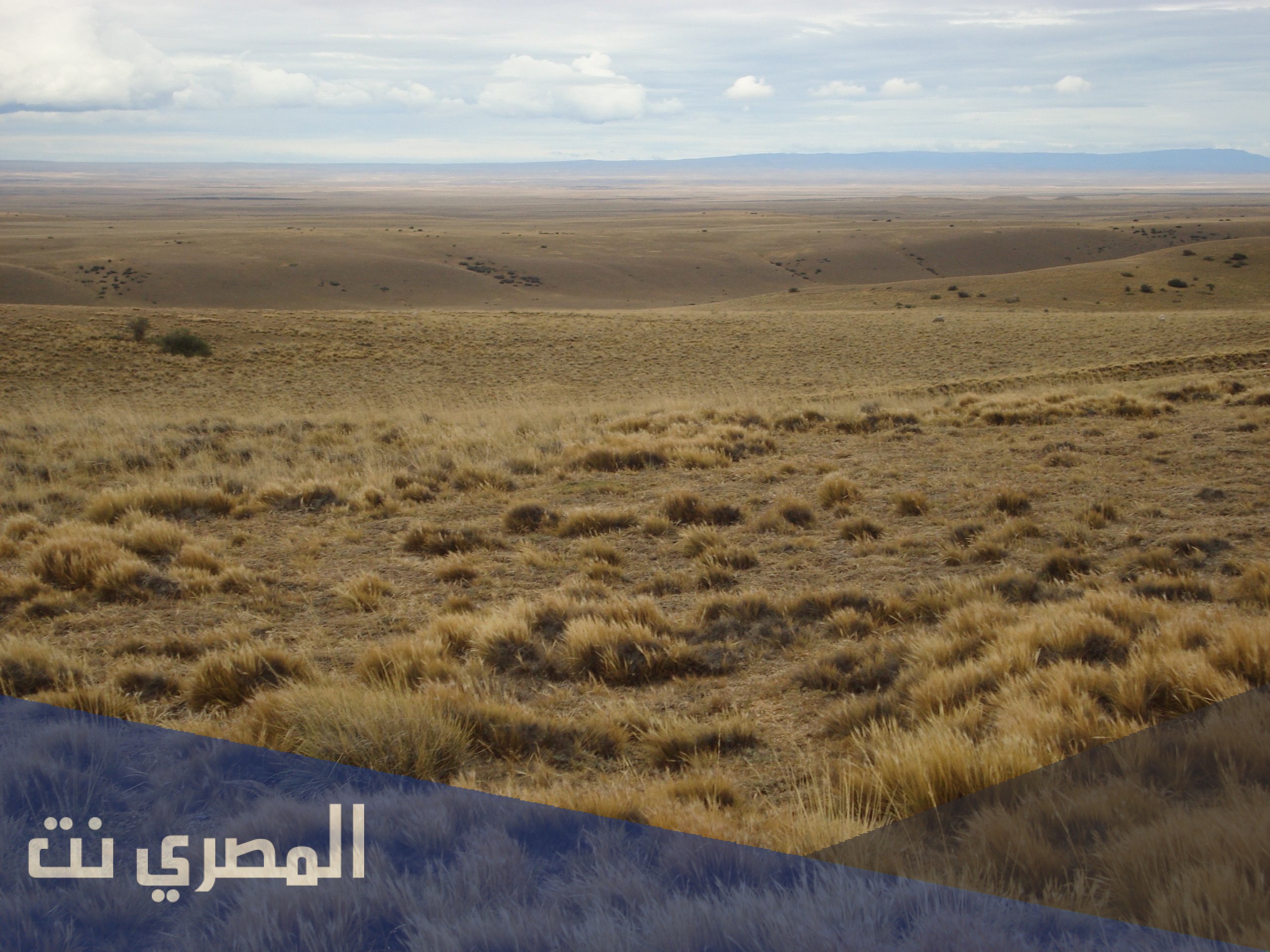 اين تقع صحراء باتاغونيا