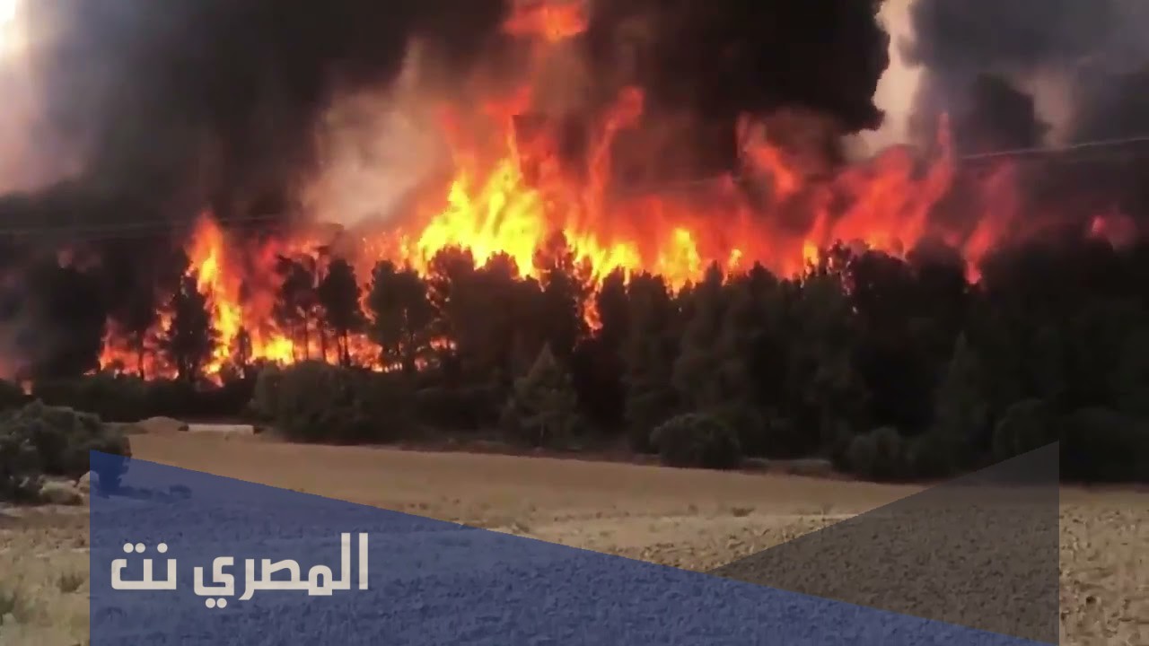 اين تقع عين ميمون