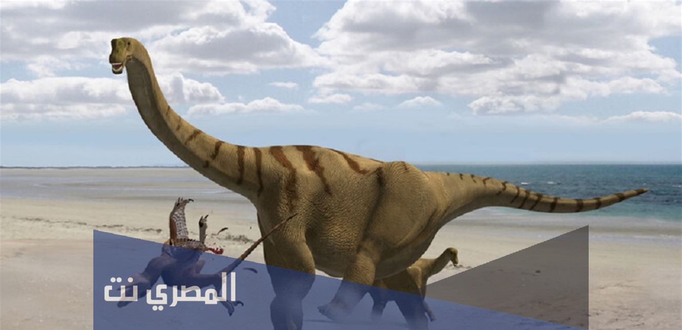بحث عن الحفريات والانقراض doc
