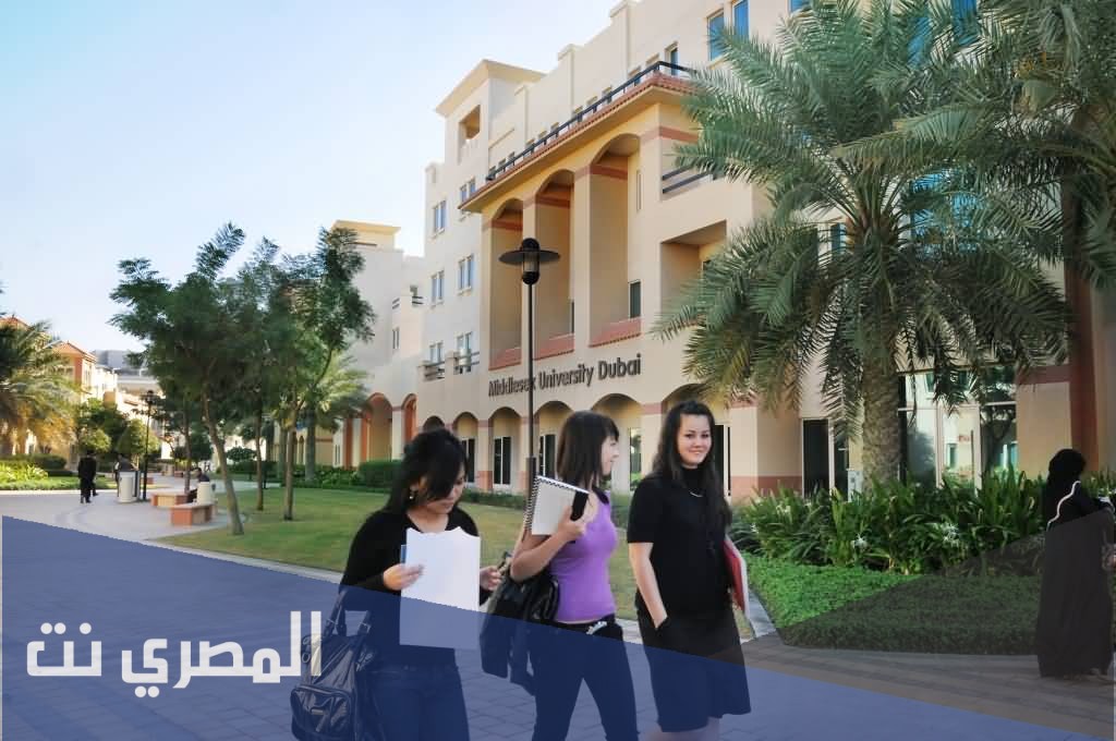 تخصصات الجامعة الأمريكية في الامارات