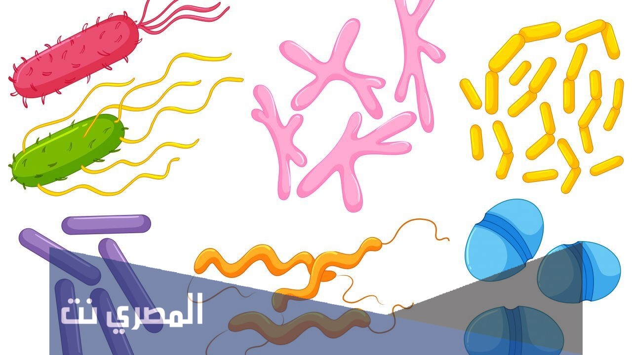تعريف الأمراض الجرثومية