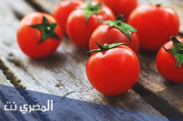 ما هو تفسير الاحلام والرؤي الطماطم في المنام