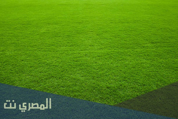 تفسير رؤية العشب الأخضر فى المنام