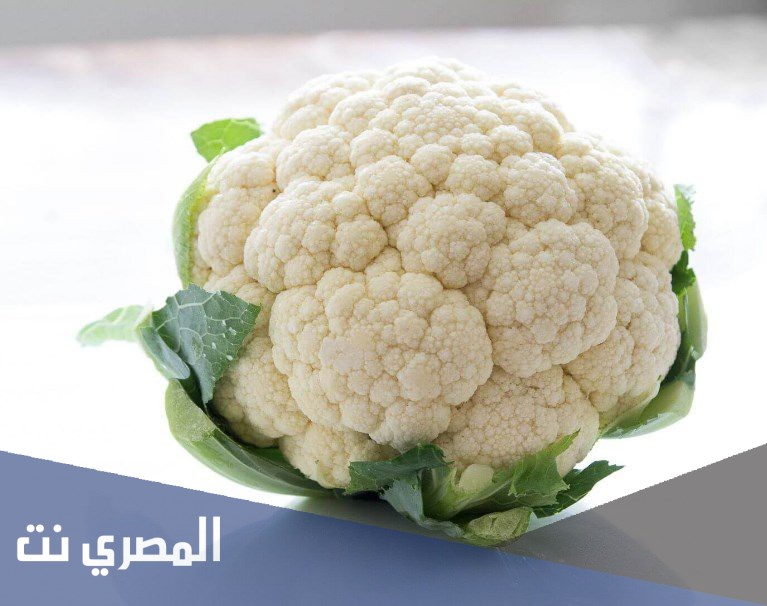 تفسير رؤية القرنبيط في المنام لابن سيرين