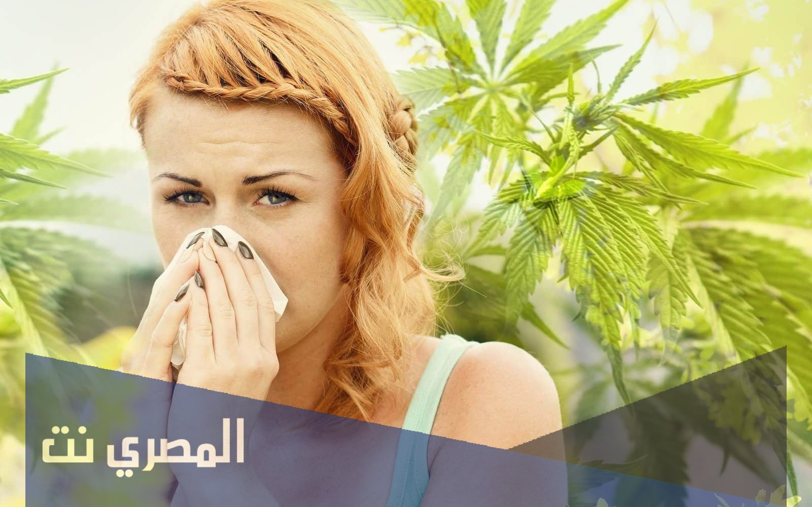 حساسية الربيع والحساسية العامة التشخيص والوقاية منه
