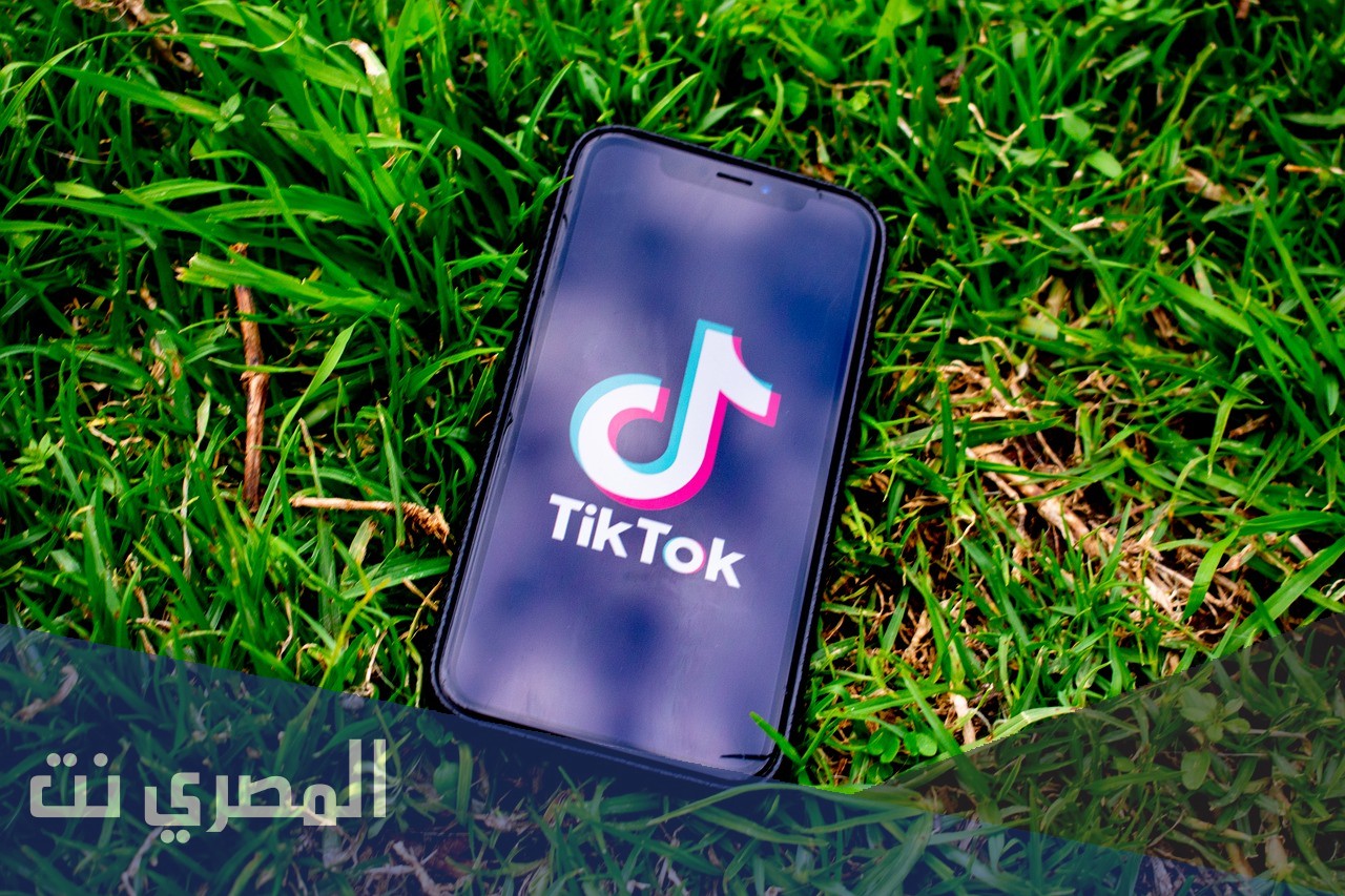حل مشكلة الاحتيال في التيك توك