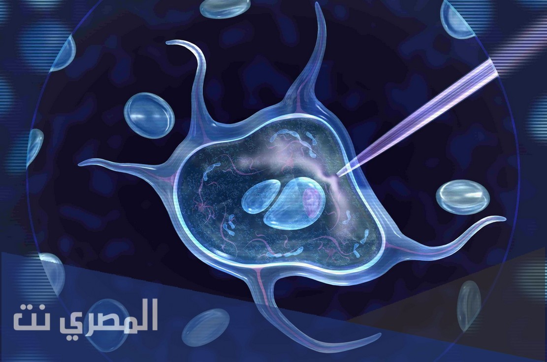 خصائص الشفرة الوراثية وأهميتها