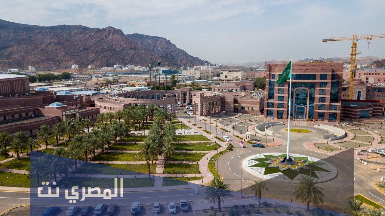 رابط اسماء المقبولين في جامعة طيبة 1443 الدفعة الثانية eas.taibahu.edu.sa