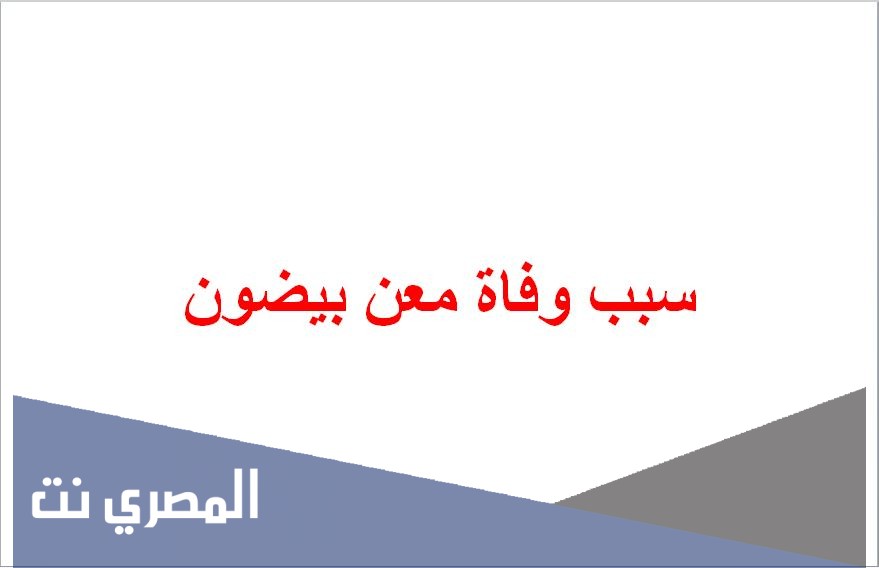 سبب وفاة معن بيضون
