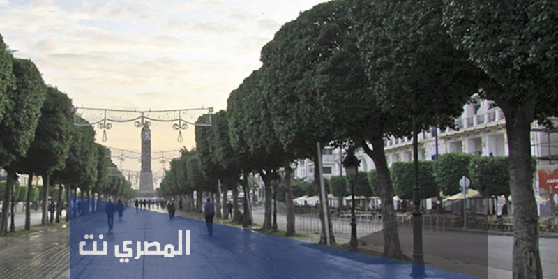 ما هو نوع اشجار شارع الحبيب بورقيبة