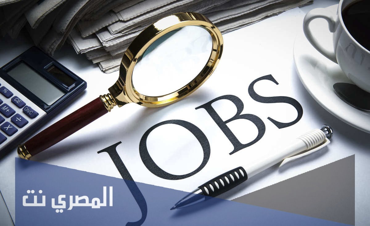 شروط التقديم لوظائف وزارة التربية التعليم