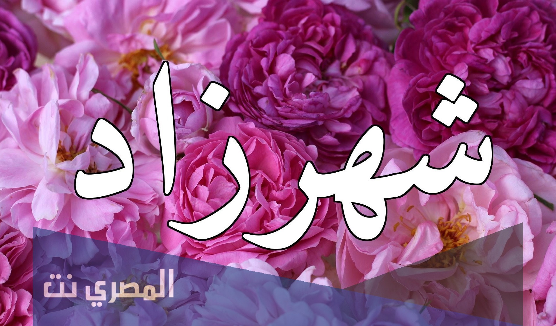ماذا تعني كلمه شهرزاد