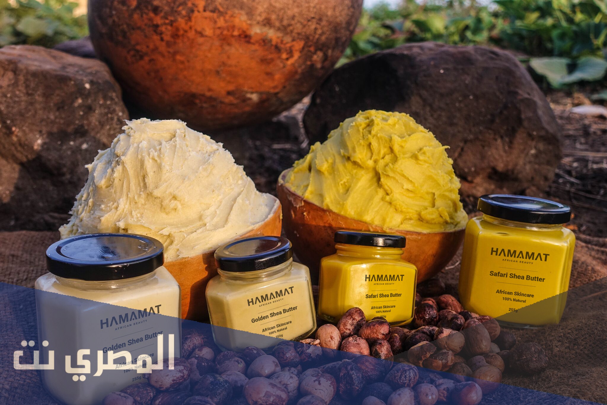 طريقة استخدام زبدة الشيا للشعر المجعد