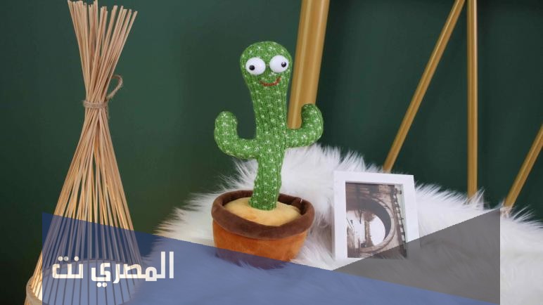 ما هي قصة الصبارة الراقص