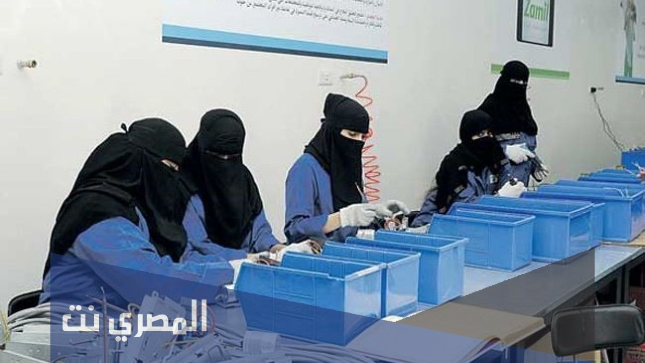 ضوابط عمل المرأة في الإسلام