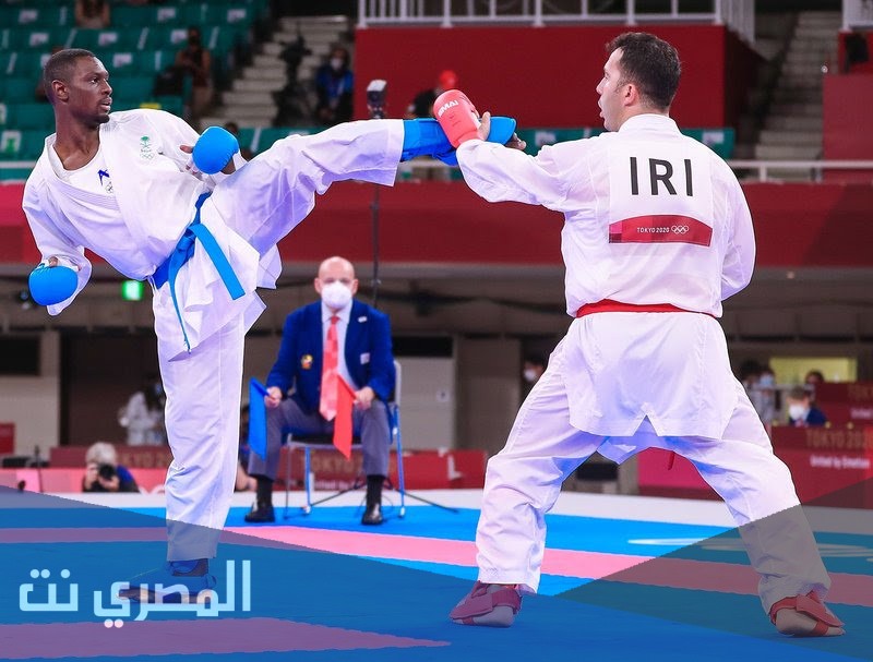 طارق حامدي من وين
