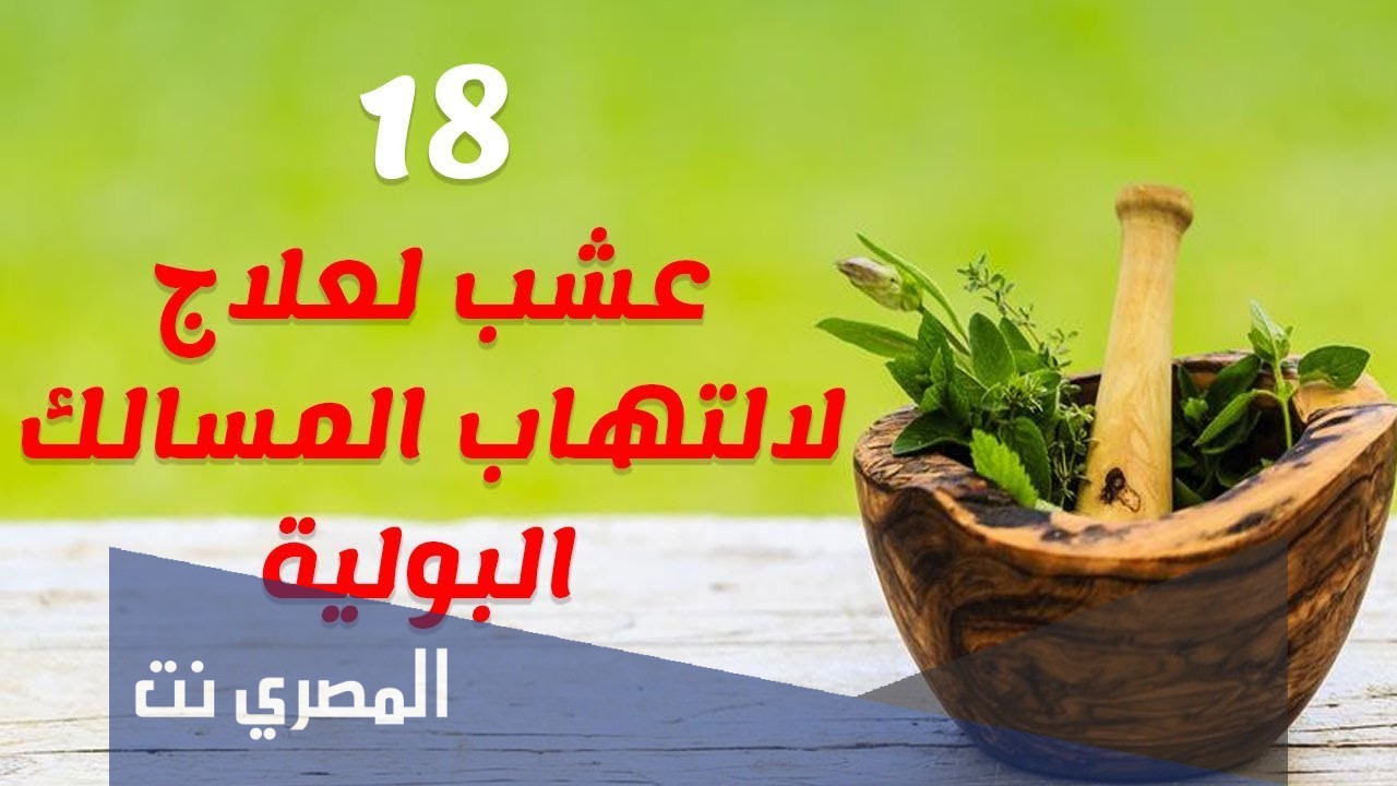 طرق علاج التهاب المسالك البولية
