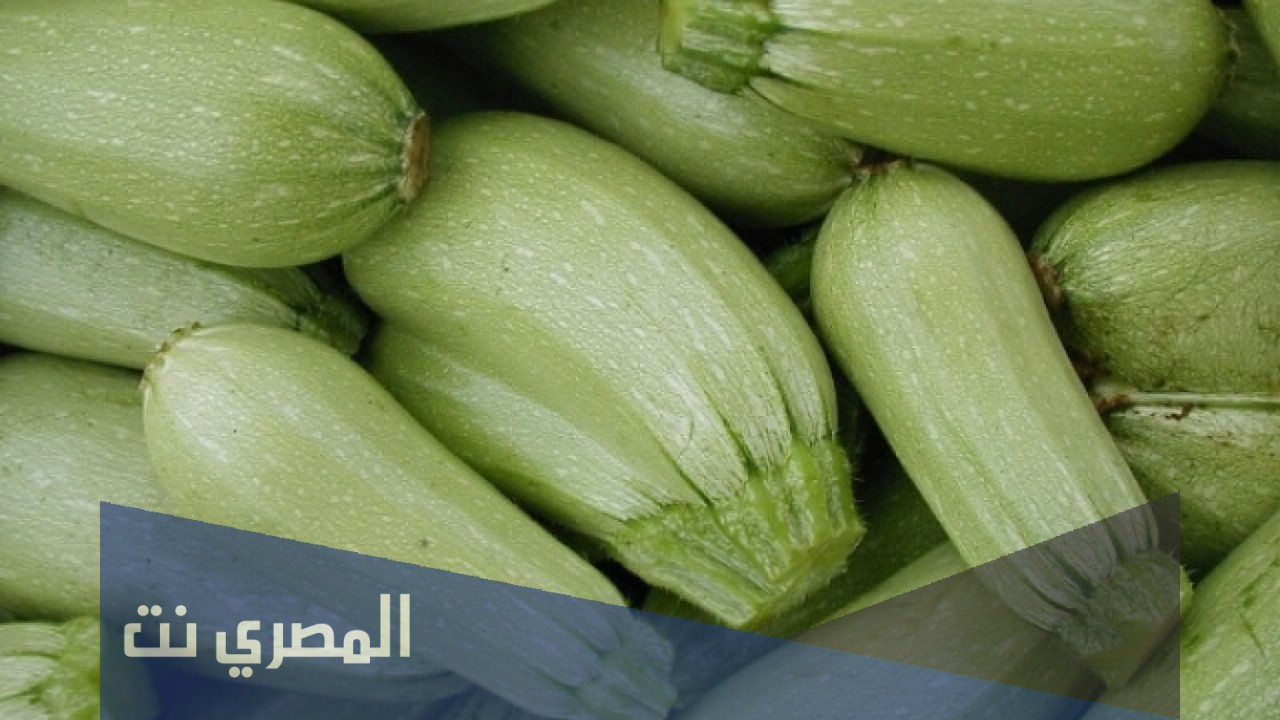 طريقة تخزين الكوسا بالفريزر