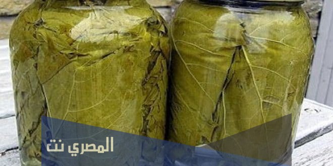 طريقة تخزين ورق العنب بالتفصيل