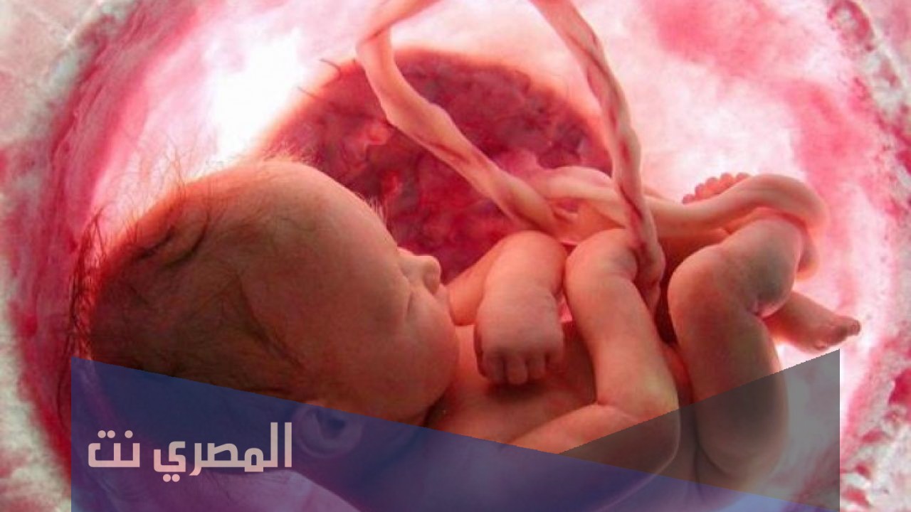 طريقة معرفة نقص الماء حول الجنين