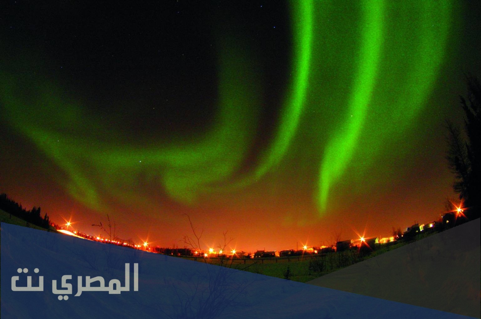 ظاهرة الصدى للكائنات الحية وأهميتها
