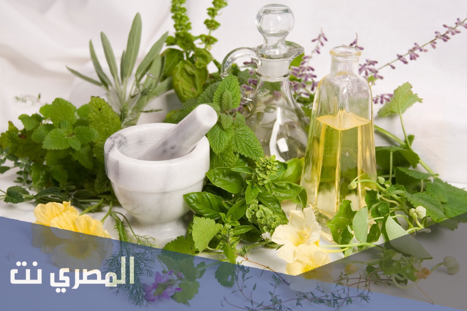 علاج تنشيط الذاكرة بالأعشاب