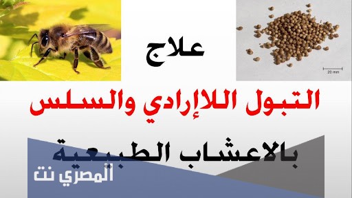 علاج كثرة التبول بالاعشاب الطبيعية