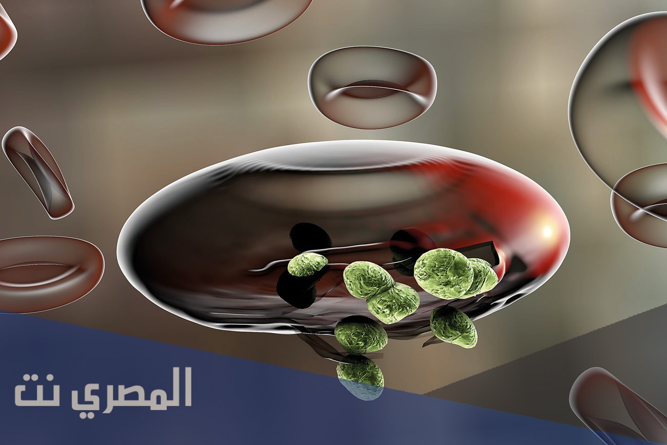علاج مرض الملاريا الطبيعي