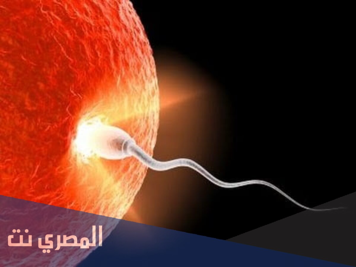 علامات فشل تلقيح البويضة بالتفصيل