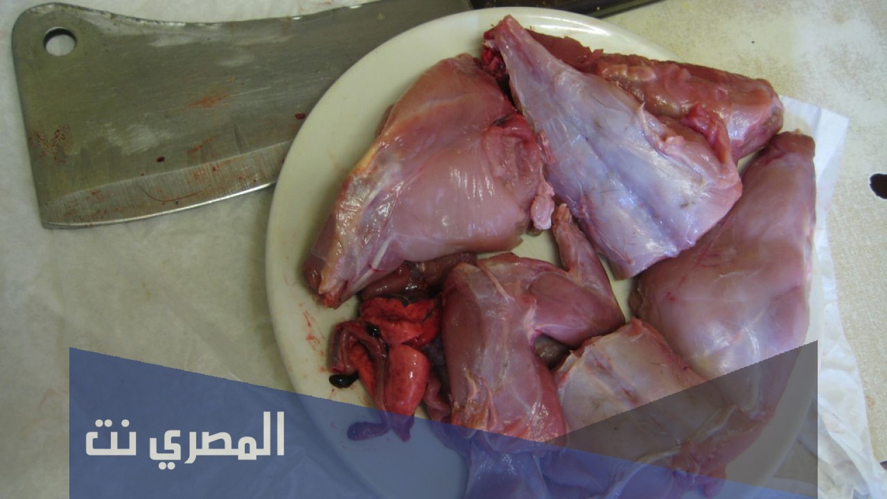 فوائد أكل لحم الأرنب