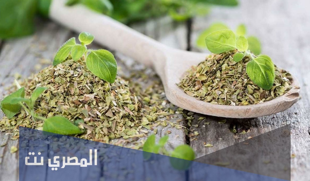 فوائد البردقوش للهرمونات الأنثوية