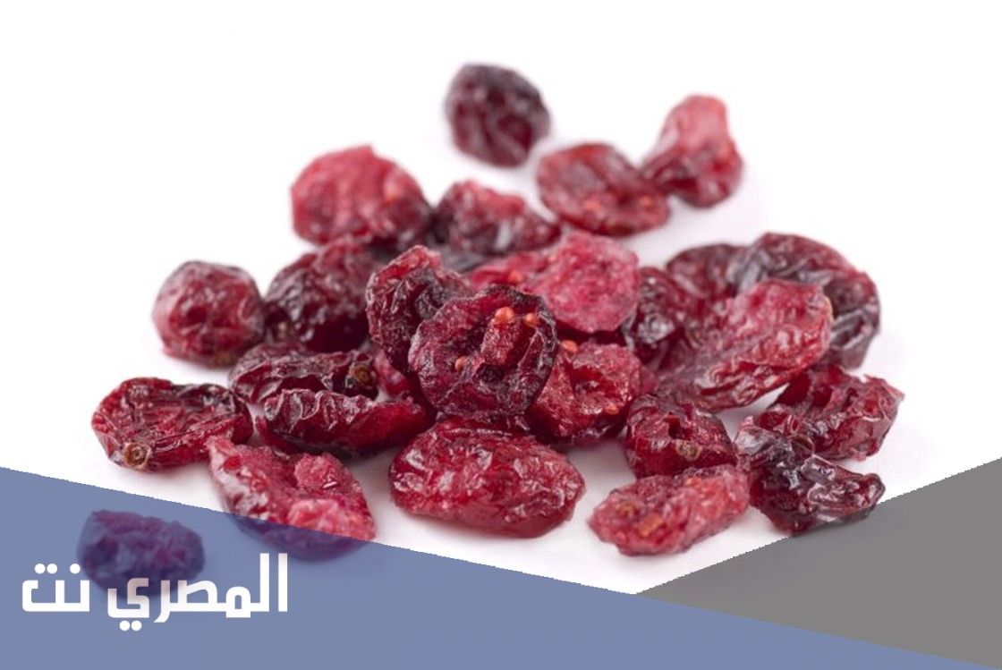 فوائد التوت الغوجي المجفف