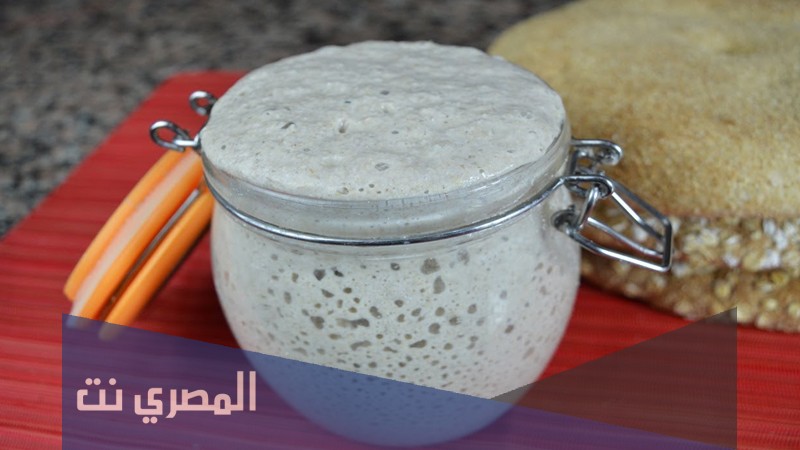فوائد الخميرة البلدية للجسم