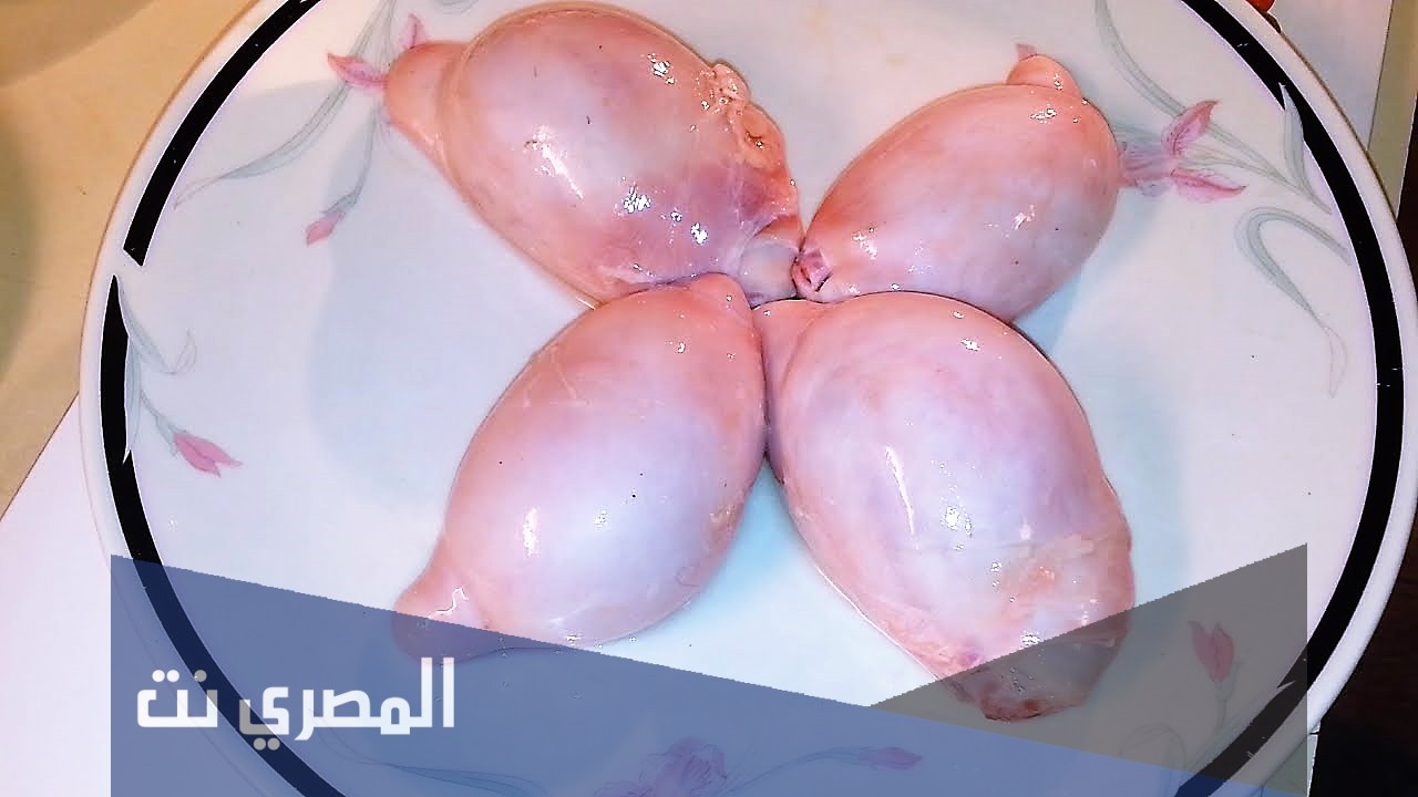 فوائد بيض الخروف للرجل