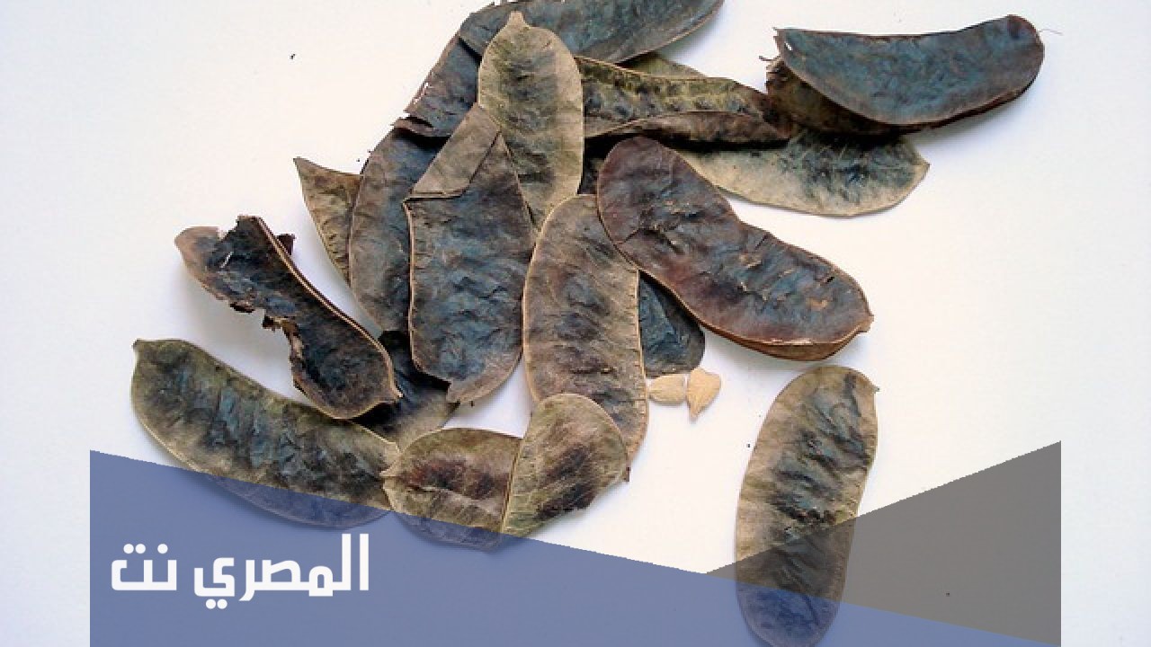 فوائد عشبة العشرق وأضرارها