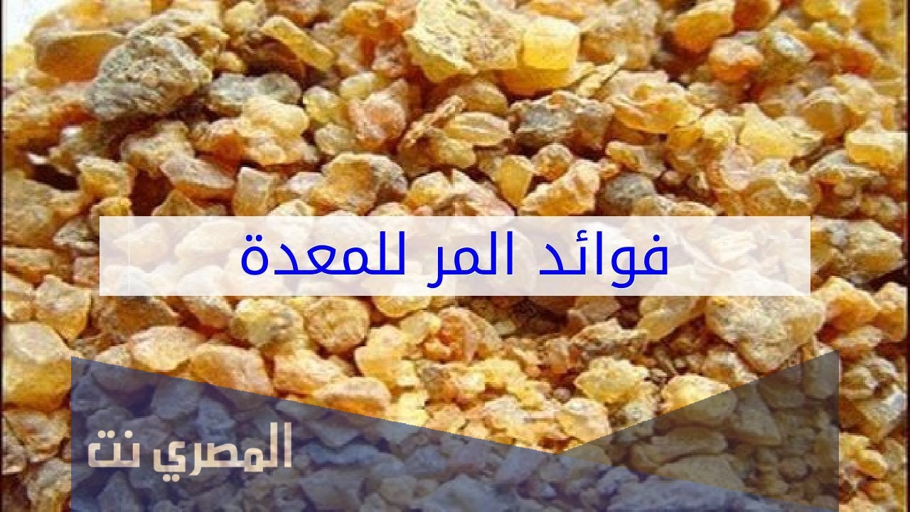 فوائد علك المر للمعدة