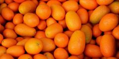 فوائد فاكهة الكمكوات