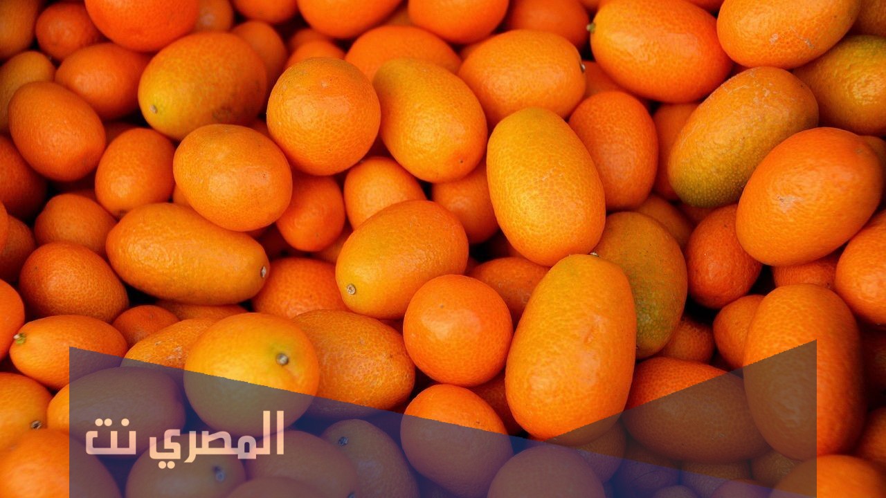 فوائد فاكهة الكمكوات