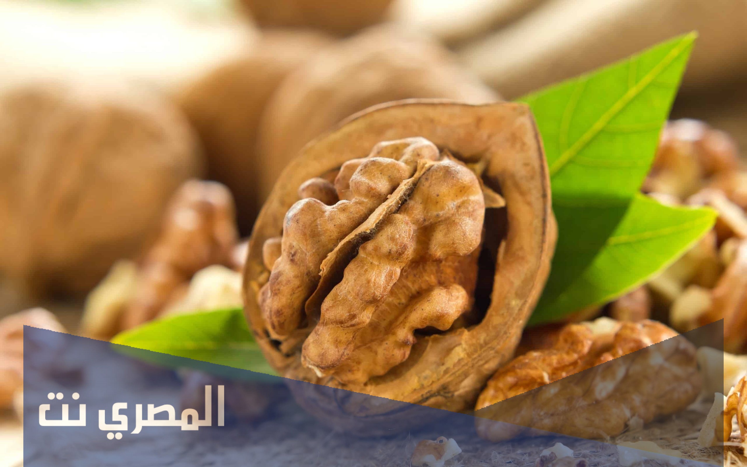 فوائد قشر عين الجمل للشعر