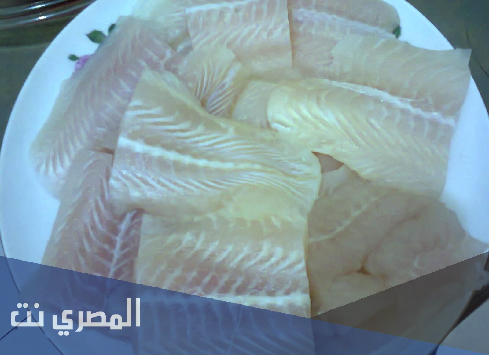 فوائد وأضرار سمك الفيليه