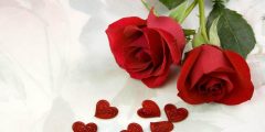 كلمات أغنية لعلمك حضرتك دوا المجروح مكتوبة