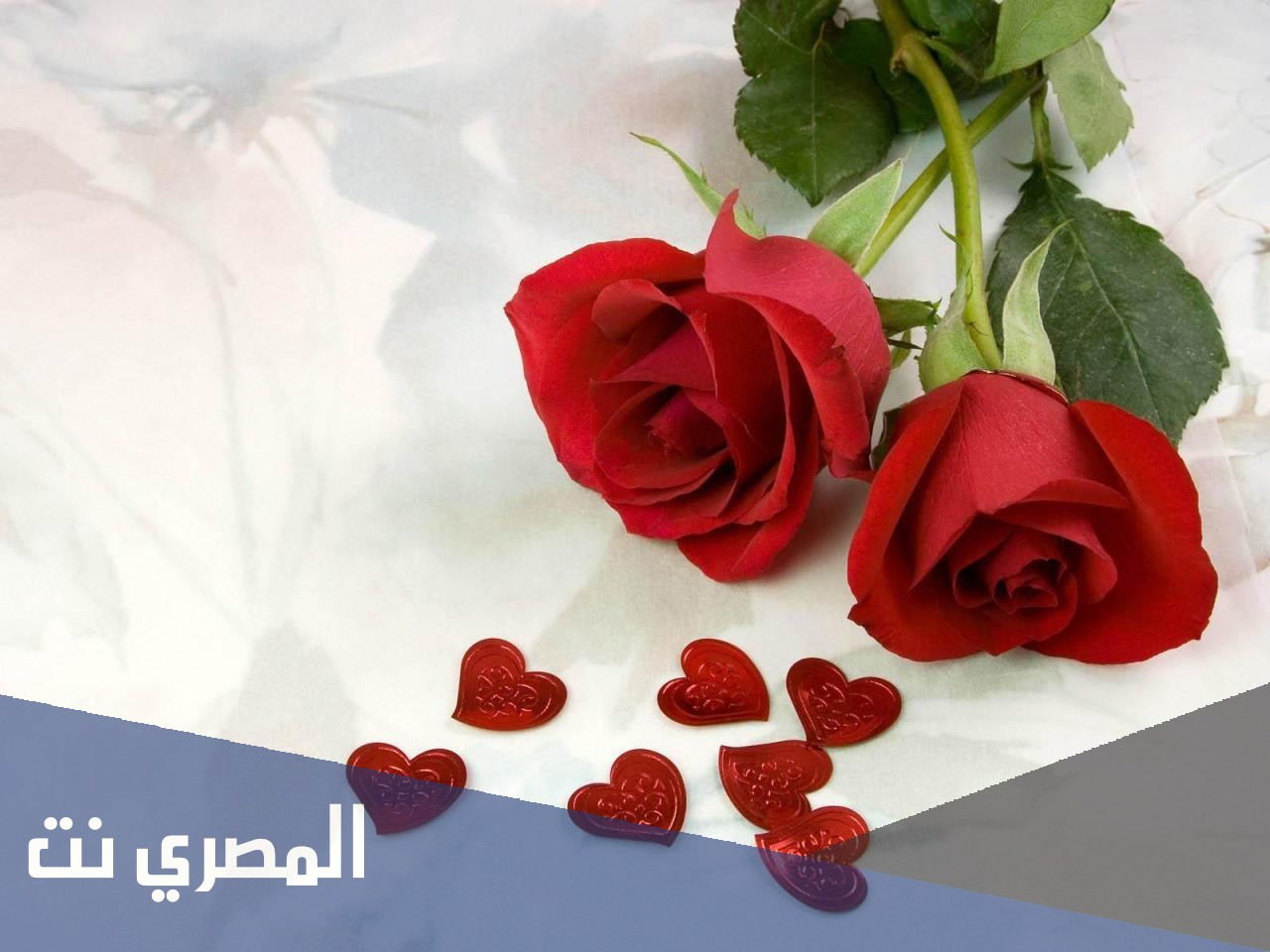 كلمات أغنية لعلمك حضرتك دوا المجروح مكتوبة