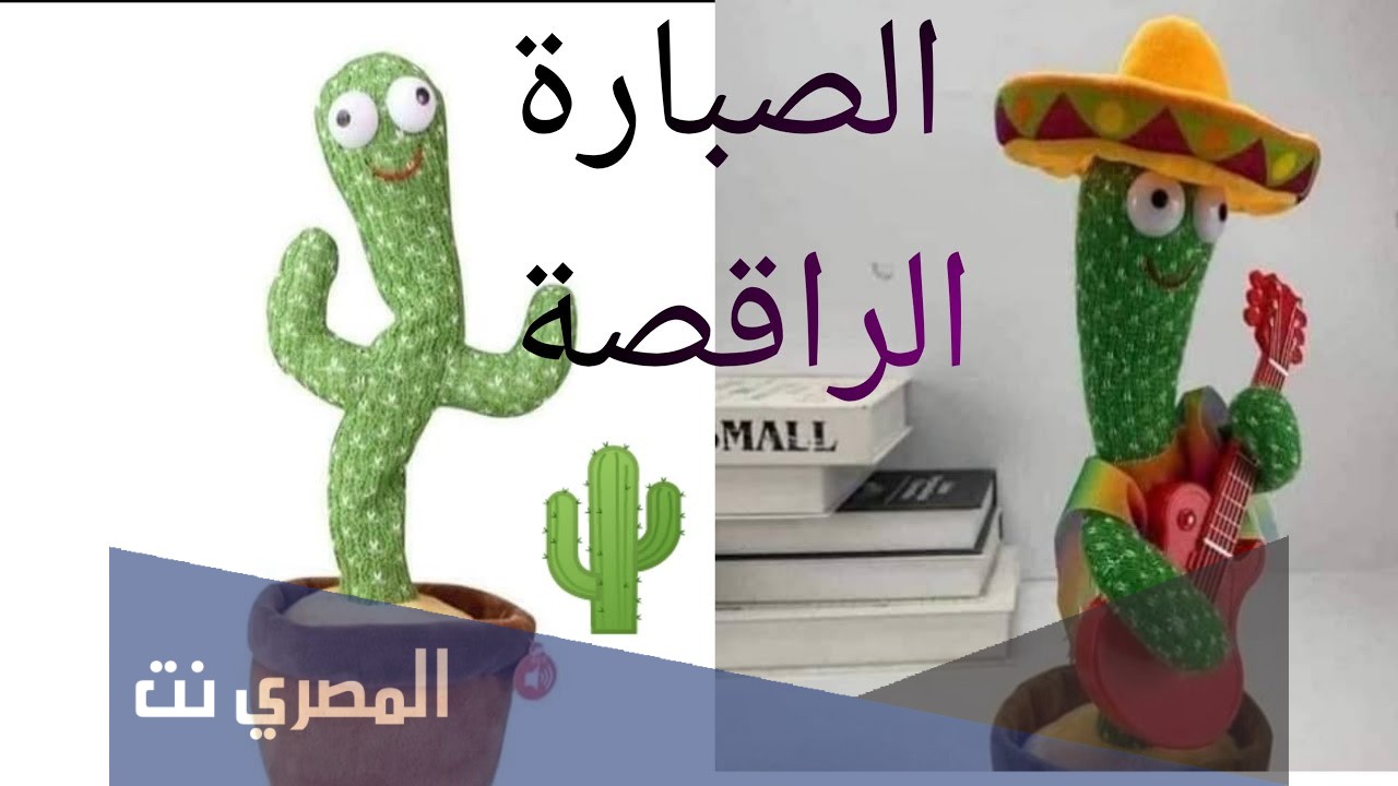 كم سعر الصباره الراقصة في مصر