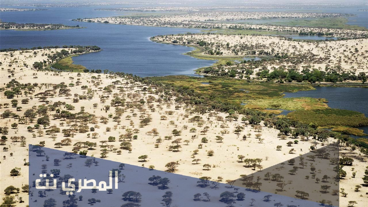 كم عدد الدول التي تطل على بحيره تشاد