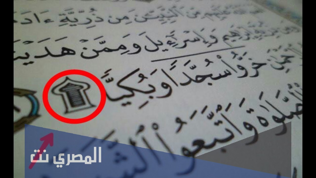 كم عدد السجدات في القرآن الكريم